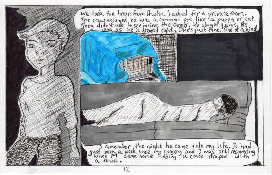 12-Animalletter20180717_19161548